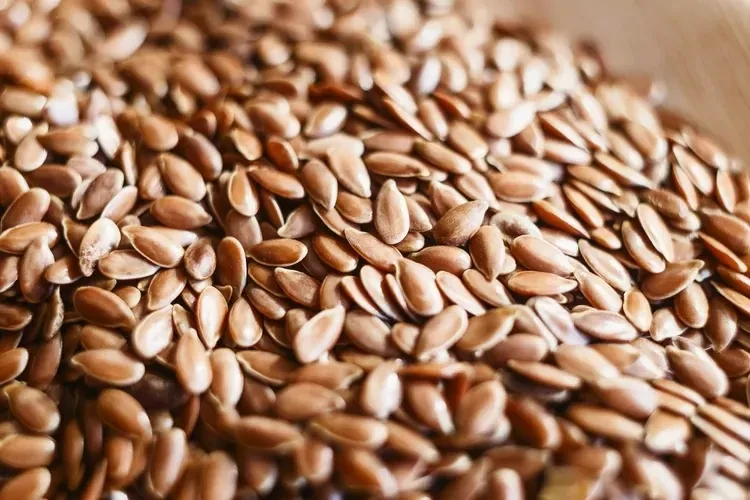 أطعمة نباتية غنية بأوميجا 3.. بذور الكتان تعتبر أحماض أوميجا 3، المعروفة بفوائدها الهائلة لصحة القلب والدماغ والمناعة، لا تقتصر فقط على المأكولات البحرية، بل هناك أطعمة نباتية يمكن