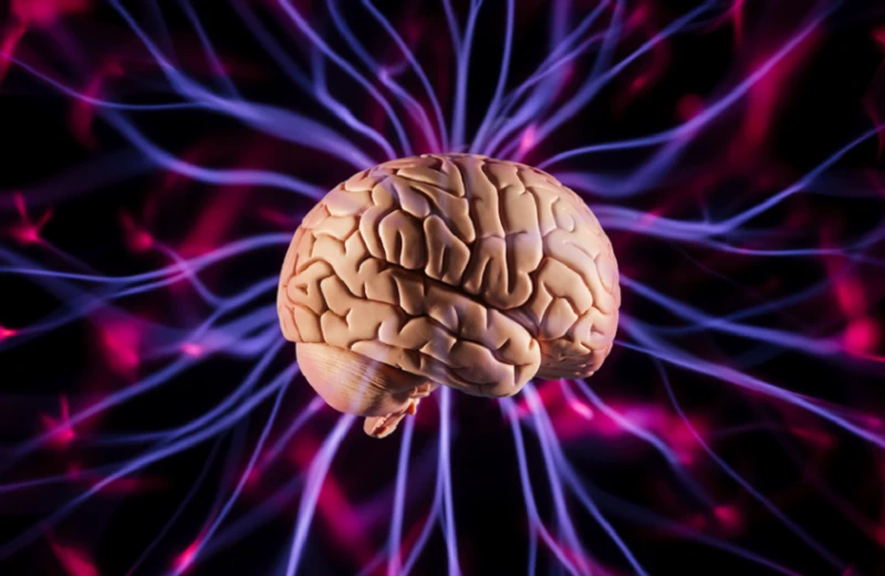 عواقب صحية خطيرة لإدمان المواد الإباحية افاق عربية - تسعى الدراسات العلمية إلى فهم تأثيرات مشاهدة المواد الإباحية المختلفة على صحة الإنسان، سواء من الناحية النفسية أو الإدراكية وال