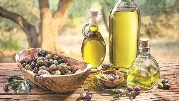 زيت الزيتون.. كنز يومي لصحة القلب والعقل منذ قرون، احتل زيت الزيتون مكانة خاصة في الأنظمة الغذائية حول العالم، واليوم تؤكد الأبحاث الحديثة أن تناوله بانتظام لا يمنح فقط نكهة مميزة 