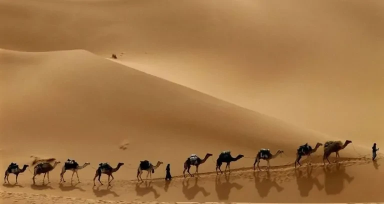 لماذا نحتفل بالسنة الهجرية في المحرم رغم أن الهجرة في ربيع الأول؟ يعتقد كثيرون أن بداية السنة الهجرية توافق ذكرى هجرة النبي محمد صلى الله عليه وآله