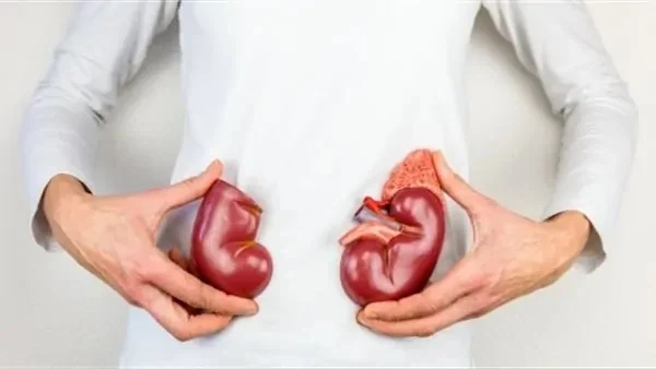 نصائح تقلل من خطر الإصابة بسرطان الكلى.. الامتناع عن التدخين يرتفع خطر الإصابة بسرطان الكلى بشكل ملحوظ بعد سن الأربعين، ويعتبر كل من الوراثة والعمر من العوامل الرئيسية المساهمة، كم