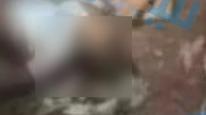 سائق توك توك ينهي حياته شنقا في سوهاج شهدت محافظة سوهاج، اليوم، واقعتين مأساويتين، حيث أقدم شاب على إنهاء حياته داخل منزله بدائرة مركز المراغة، فيما لقي آخر مصرعه غرقا في ترعة بمرك