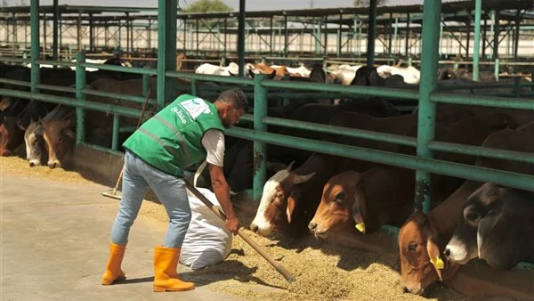 استعدادات مكثفة من مصر الخير لنشر فرحة العيد في كافة محافظات مصر تواصل مؤسسة مصر الخير استعداداتها لاستقبال عيد الأضحى المبارك وسط مستحقيها في كافة المحافظات لمشاركتهم فرحة عيد الأ