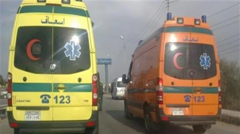 إصابة 5 أشخاص في انقلاب ميني باص على طريق قنا سفاجا أصيب 5 أشخاص، اليوم، في حادث انقلاب ميني باص على طريق قنا سفاجا، وتم نقلهم لمستشفى قنا العام لتلقي العلاج والرعاية اللازمة.تلقى 