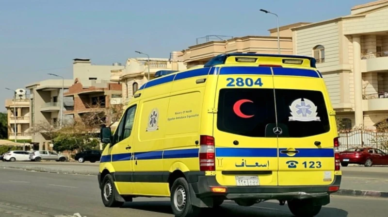 أمهم اختفت ومش عارف أوصلها.. تفاصيل أقوال والد الطفلين ضحية شقة العمرانية في جريمة صادمة جرت أحداثها في منطقة العمرانية، عثر عامل على جسدي صغيريه مكبلين وعلى جسديهما آثار اعتداء شد