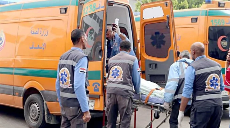 النقل دخل في الميكروباص.. 15 مصابا إثر حادث بصحراوي المنيا شهد الطريق الصحراوي الشرقي بالقرب من مدخل دير السيدة العذراء بجبل الطير التابع لمركز سمالوط شمال محافظة المنيا، اليوم الخ