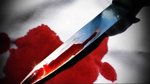 ربة منزل تقتل زوجها في مدينة بنها بمحافظة القليوبية