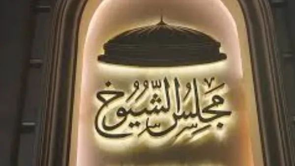 بين المرشحين المستقلين والحزبيين: من يتفوق في كفة القانون في انتخابات الشيوخ؟