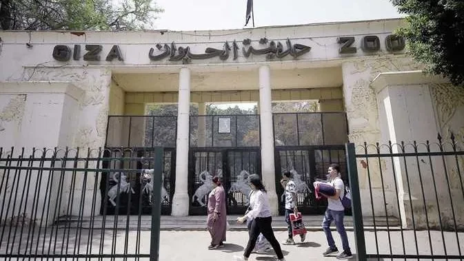 هل ستصبح 400 جنيه؟.. تكلفة تذكرة دخول حديقة الحيوان بالجيزة بعد تحسينات التجديد.
