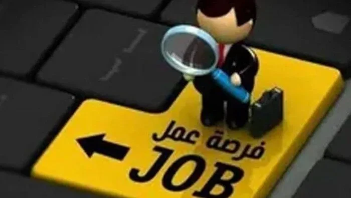 200 وظيفة براتب شهري 9200 جنيه: تعرف على التخصصات والمتطلبات اللازمة