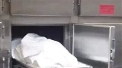 مشاجرة بين بائعي الخردة تنتهي بجريمة قتل في الإسماعيلية