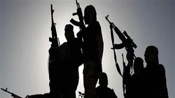 خبير في مكافحة الإرهاب: الأجهزة الأمنية متيقظة تجاه أي محاولة لاختراق العمق المصري.