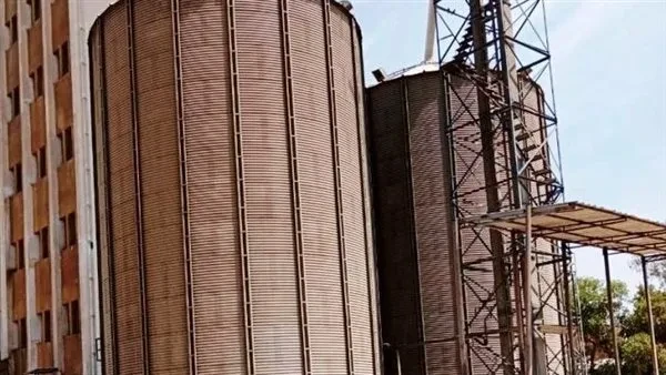 صوامع وشون أسوان تستمر في استقبال القمح المقدم من المزارعين