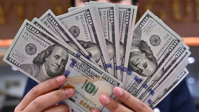 سعر الدولار الحالي في البنوك المصرية: كم يبلغ؟