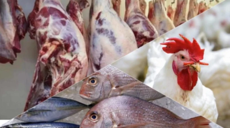 يصل ل60.. مصر تحقق اكتفاء ذاتيا من اللحوم أكد المتحدث الرسمي باسم وزارة الزراعة واستصلاح الأراضي محمد القرش، أن مصر لديها اكتفاء ذاتي من اللحوم يصل إلى حوالي 60، واكتفاء ذاتي شبه ك