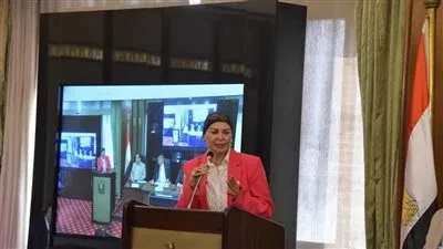 أمل سلامة: تصفية جماعة “حسم” تدل على استعداد الشرطة.. وأمن مصر خط أحمر لا يُمسّ.