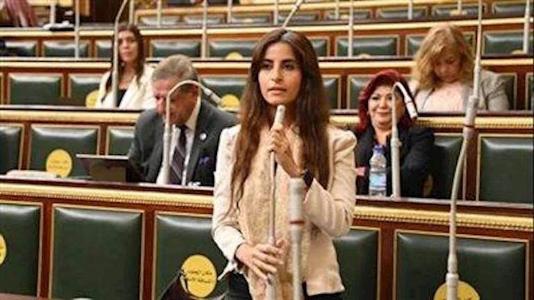 لجنة الخارجية بالنواب: إدراك الشعب كحصن ضد الإرهاب والتخريب