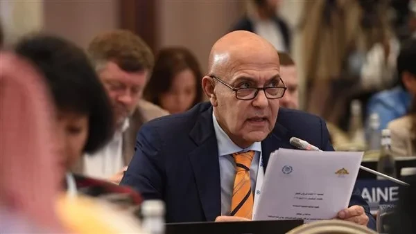 “صبور”: التعاون المصري السعودي أساس استقرار المنطقة