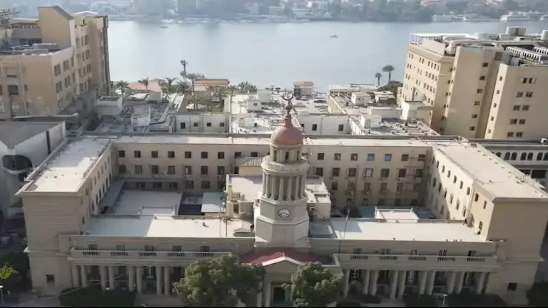 ما دلالة اعتماد وحدة السكتة الدماغية في قصر العيني على المستوى الدولي؟