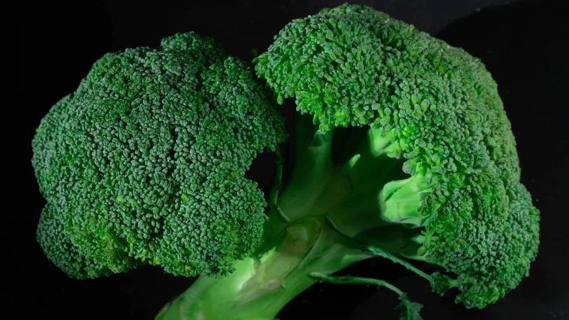 البروكلي من أكثر الخضروات شهرة في الأنظمة الغذائية الصحية يعتبر البروكلي من أكثر الخضروات شهرة في الأنظمة الغذائية الصحية، لما يحتويه من عناصر غذائية قوية تحارب الالتهابات، وتدعم ا