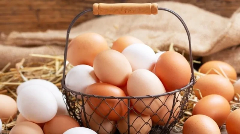 البيض ليس له علاقة بمشاكل القلب: بحث يكشف الحقائق حول المعتقدات التقليدية