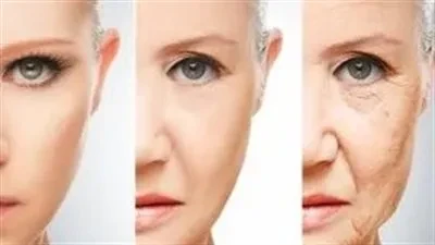 ثلاث مواد غذائية تساهم في تأجيل الشيخوخة.. ما هي آراء العلم حول تأثيرها على الخلايا؟