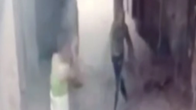 بسبب الفلوس.. كشف ملابسات فيديو إلقاء مادة مشتعلة على عامل بالمعصرة