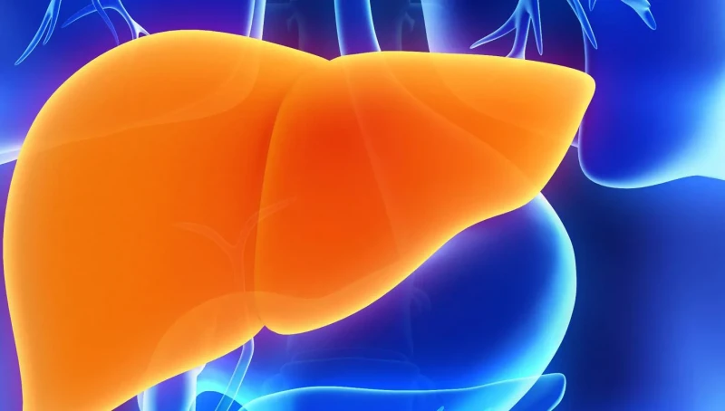 علامات أولية تشير إلى تلف الكبد... لا تتجاهلوها!