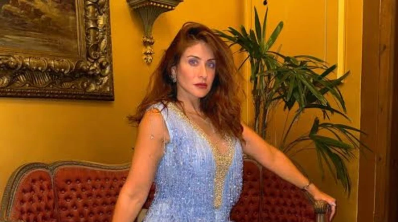 بعد اكتمال مبلغ تبرعات الطفل علي.. هيدي كرم: فخورة إننا مصريين