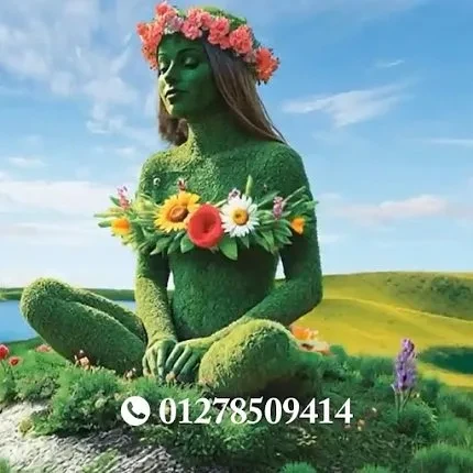 مجمع كوين لاند السكني