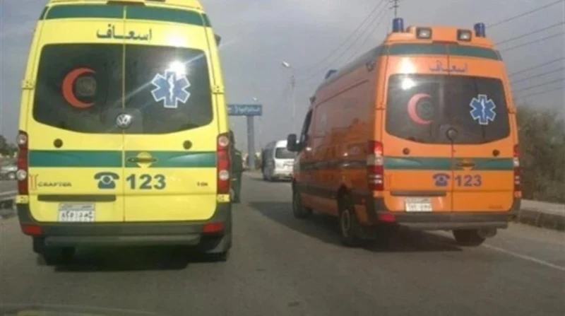 وفاة أب وابنه بطلقات نارية مجهولة في وسط الشارع بدشنا