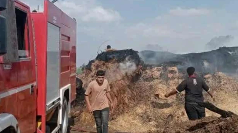 نفوق 7 حيوانات.. إخماد حريق في حظيرة مواشٍ بالدقهلية