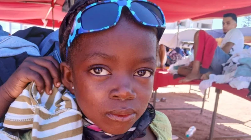 مترجم مصري يعود بطفلة ضائعة إلى عائلتها في تونس.. كيف كان دعم ChatGPT؟