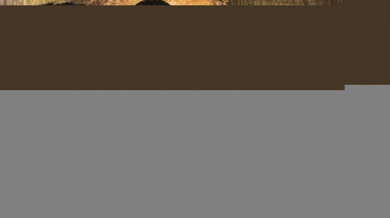 شقيقة مسلم عن يارا تامر: "هتنوري السجن قريب"