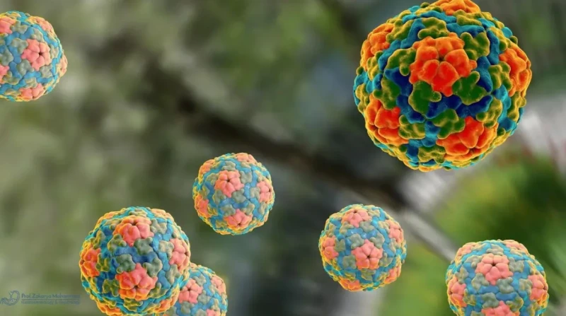 تصريح هام من هيئة الرعاية الصحية