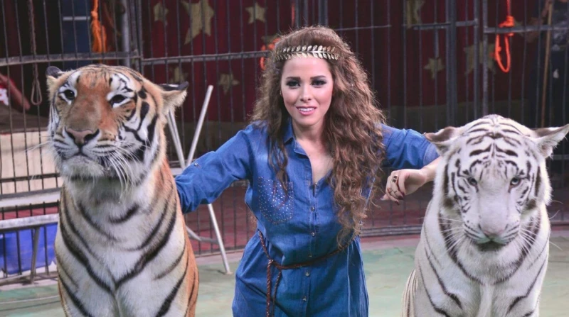 السفر قبل استئناف حكم حبسها؟.. أنوسة كوتة: "ادعوا لي"