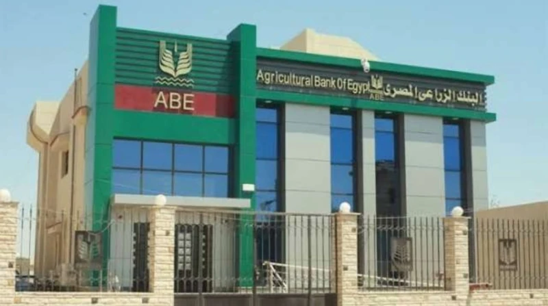 وظائف لحديثي التخرج في البنك الزراعي، الشروط والمؤهلات