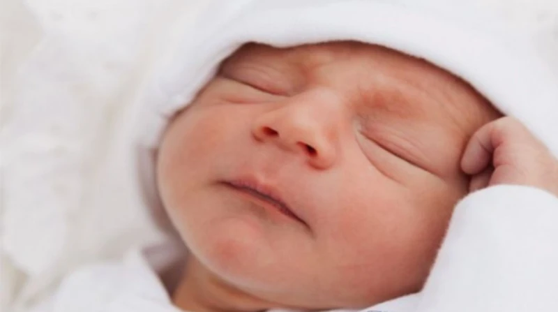 فريدريك الثاني.. مهووس بالعلم عزل الرضع وأخرج أحشاء رجلين