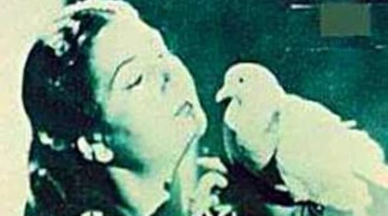 "البحر الأحمر السينمائي" يُعيد إرث أم كلثوم السينمائي إلى الشاشة