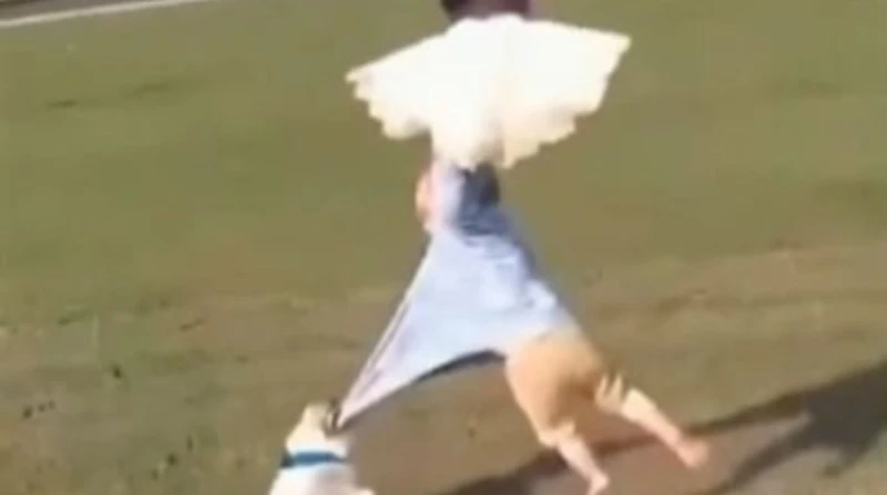 كلب ينقذ رضيعا من بين منقار نسر ضخم.. هل الفيديو حقيقي؟