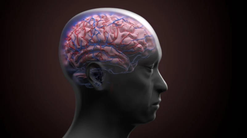 عادات يومية شائعة قد تصيبك بالخرف