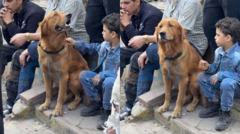 مشهد مؤثر في جنازة إسماعيل الليثي، كلب "ضاضا" يرافق المشيعين بعيون دامعة