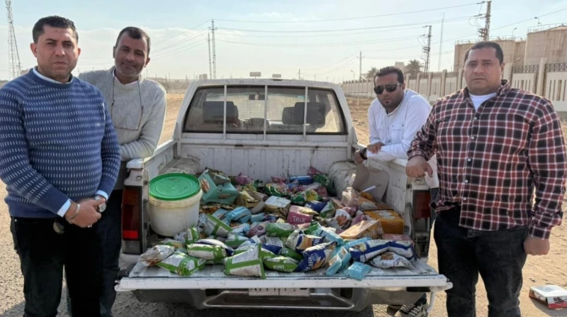 حملات على المحلات، قرار عاجل من "تموين الفيوم" بشأن 132 رأس "بتلو"