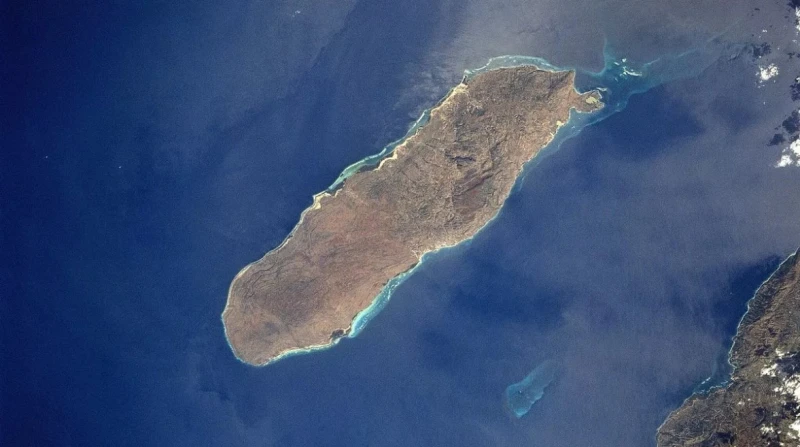 شابان أمريكيان خططا لاقتحام جزيرة واستعباد نسائها بعد قتل الرجال، كيف انتهت العملية؟