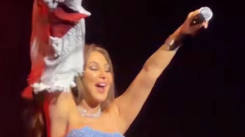 إليسا توجه رسالة دعم لفلسطين على طريقتها الخاصة في حفل دبي (صور)