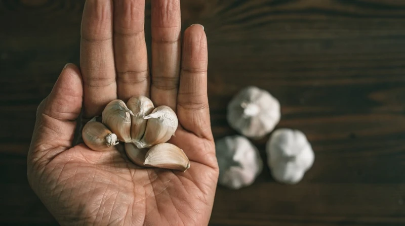 فوائد الثوم، ما هو التوقيت المثالي لتناوله؟