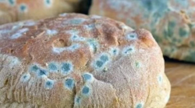 قضمة صغيرة تصيبك بالسرطان، أطعمة يجب التخلص منها عند ظهور العفن