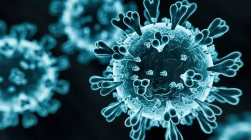 المتحور الجديد 2025.. حقيقة انتشاره في مصر وشدة أعراضه