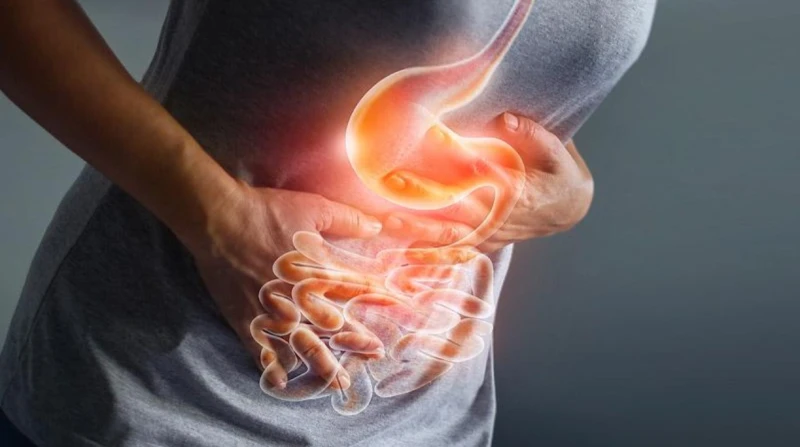 "العقل الثاني للإنسان" يكشف أسرار صحتك الجسدية والنفسية