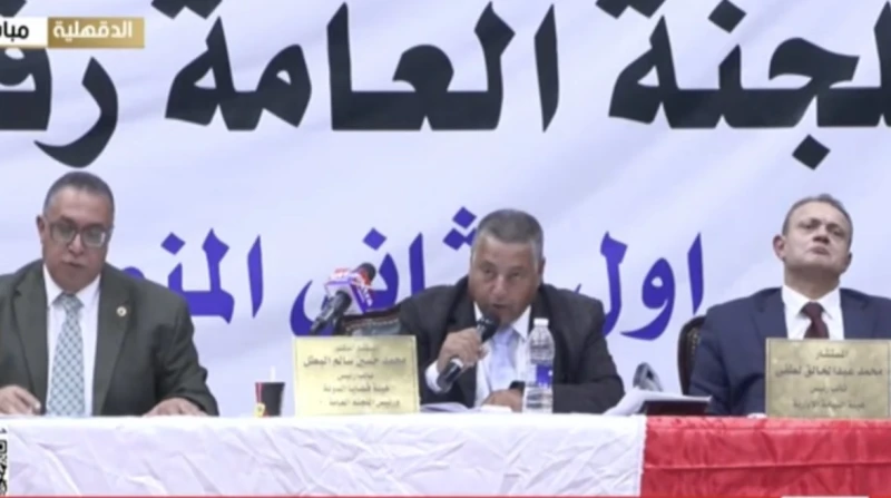 انتخابات النواب، تأهل 4 مرشحين لجولة الإعادة في دائرة المنصورة